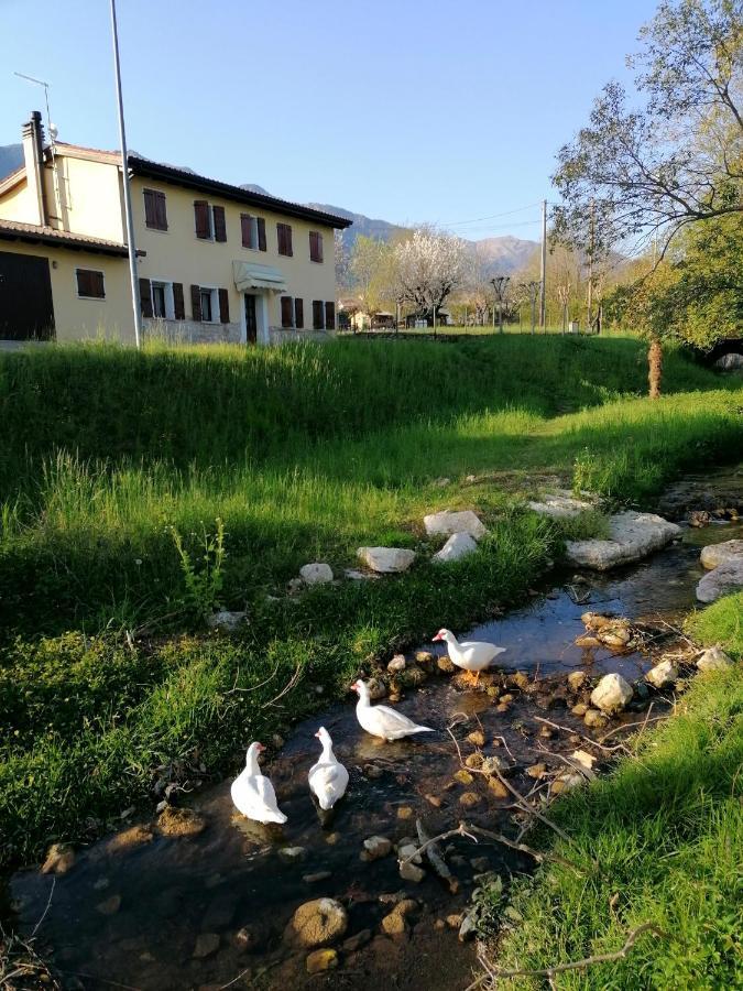 Agriturismo Da Andreina Bed & Breakfast Borso del Grappa Exterior photo